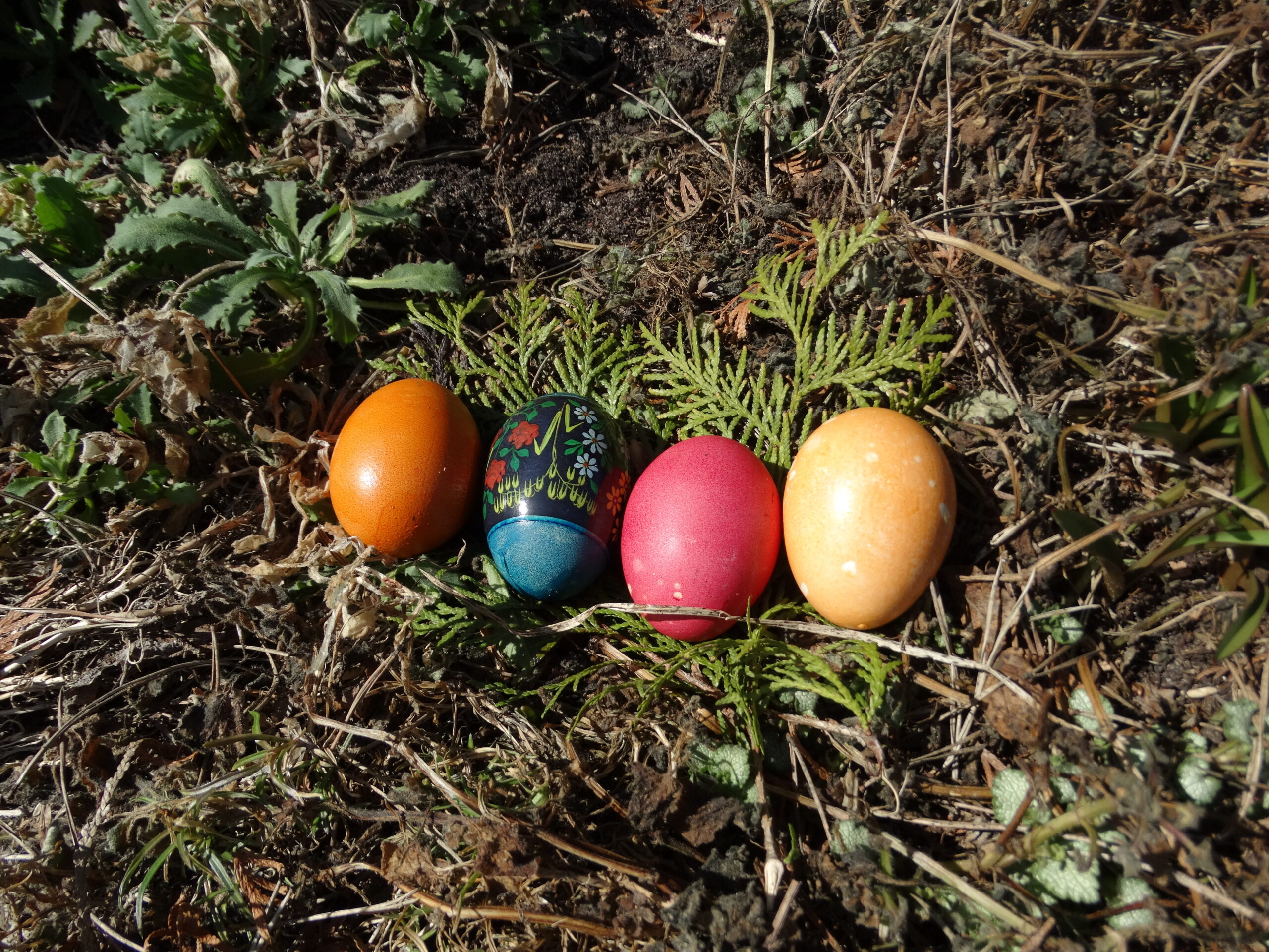 Siruotśki Welikdeń